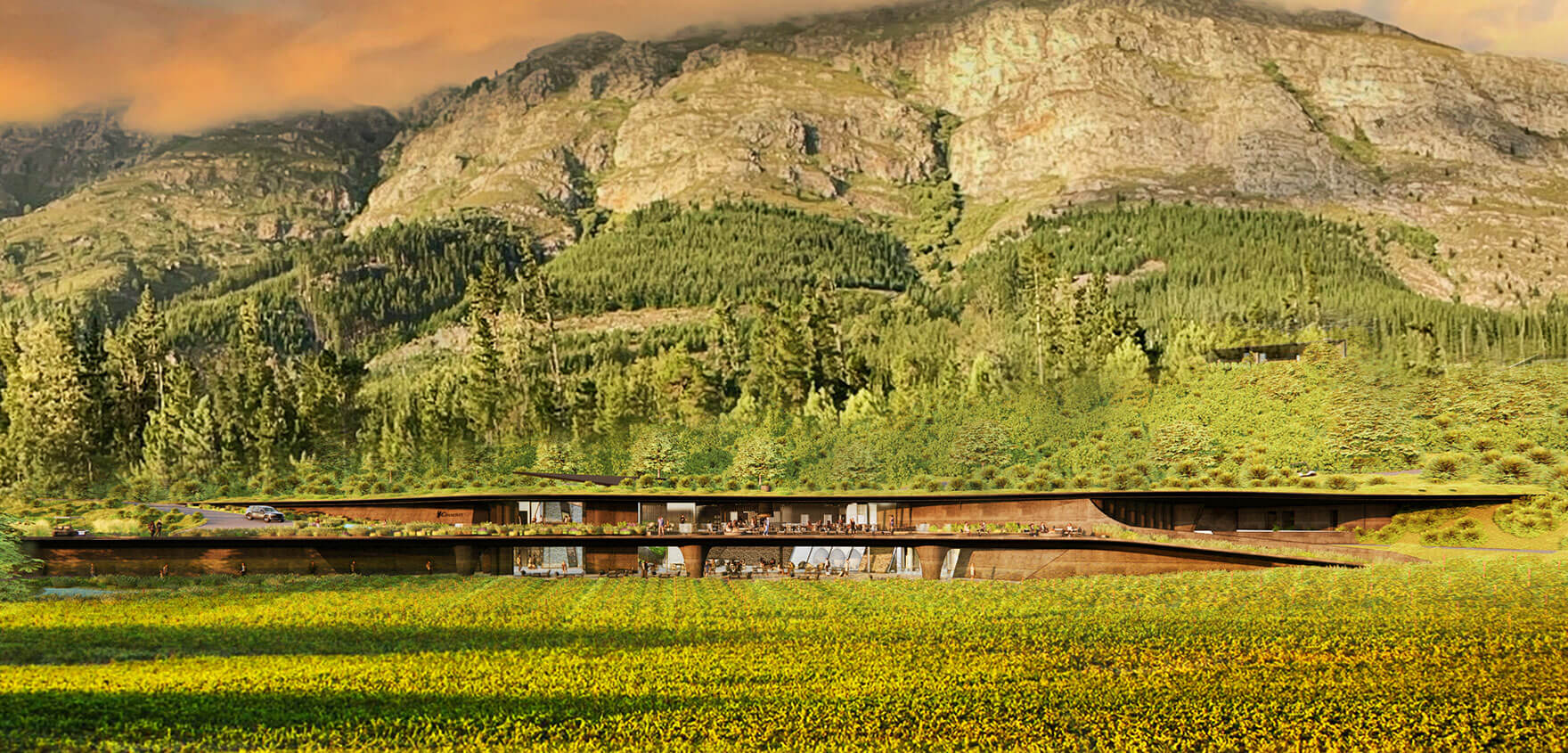 Chamonix Wine Farm 